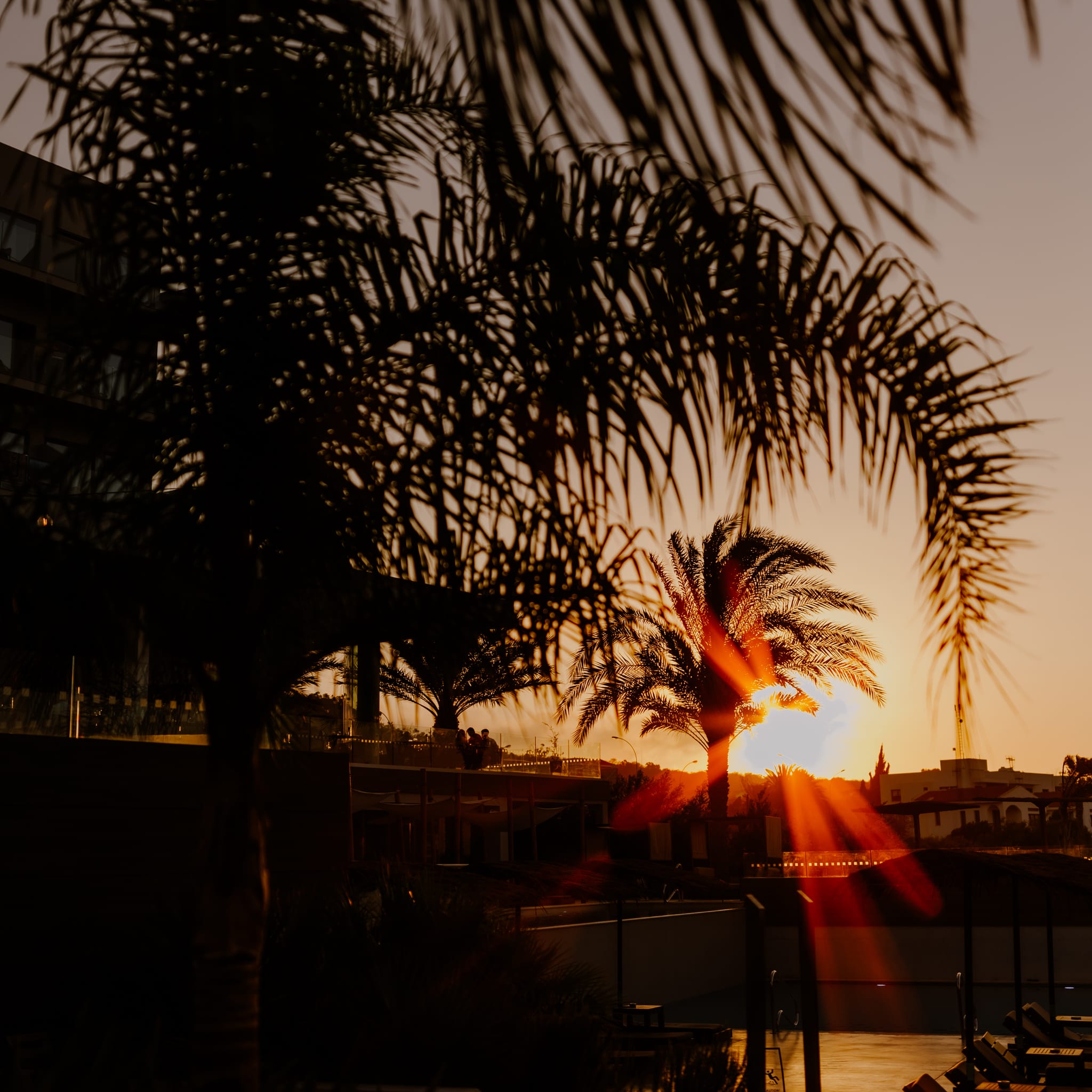 Aurora Orange 4×5.6"