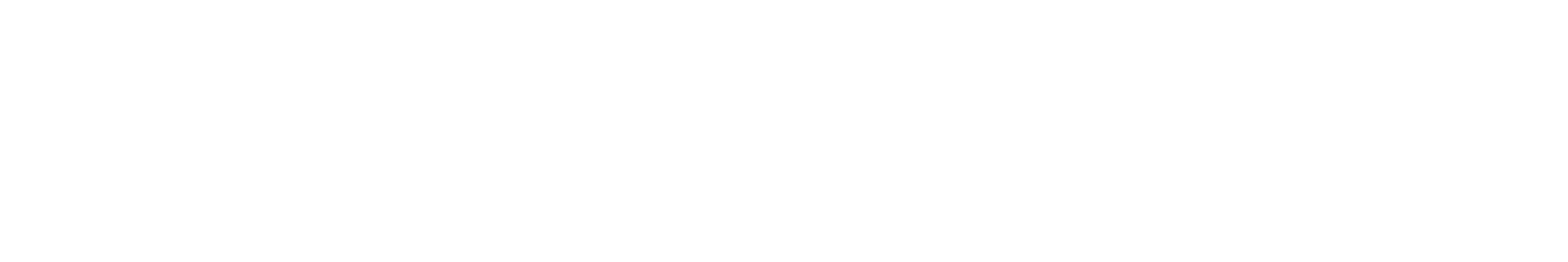 REFLECTLENS®