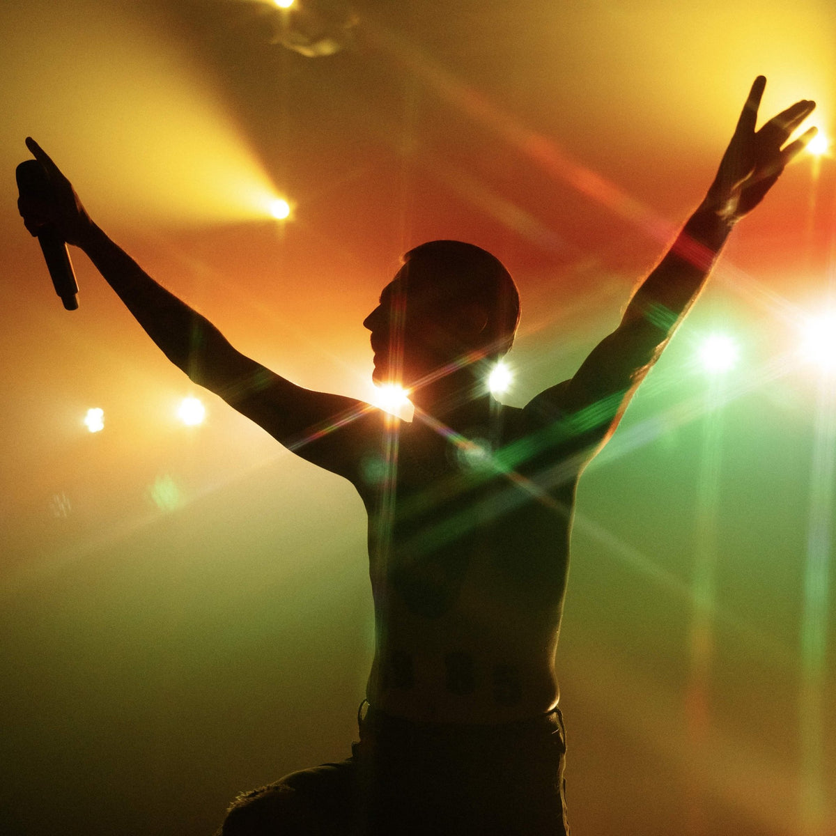 Un artista in silhouette sul palco, controluce rispetto alle luci colorate e ai bagliori irradiati, dalla galleria Stars 6x
